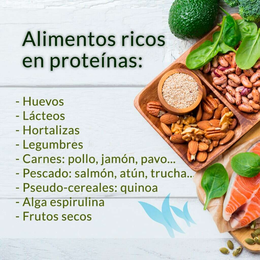 Beneficios-de-la-proteina-en-las-dietas